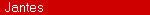 Jantes (http://www.rs-felgen.de)